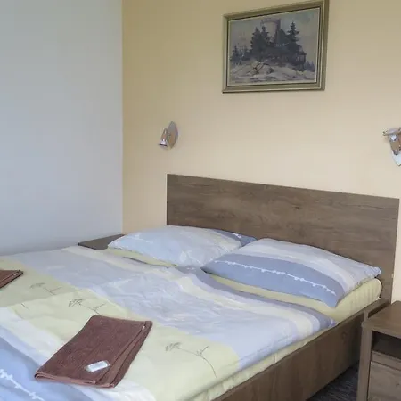 Pensionat Oliver Horní Planá