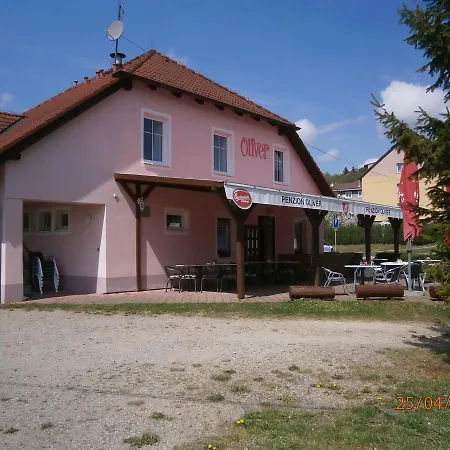 Oliver Horní Planá