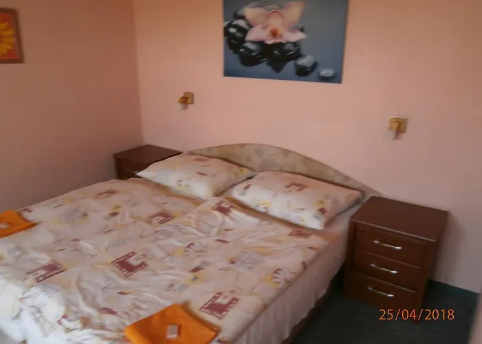 Oliver 3* Horní Planá